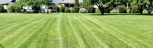 archer-maryville-courts-village-4894