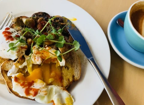 midlands-gardens-retirement-village-4854