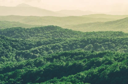 coastal-villas-metlifecare-home-2-3620