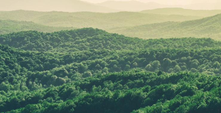 coastal-villas-metlifecare-home-2-3620