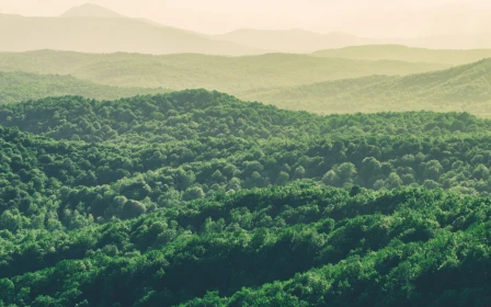 coastal-villas-metlifecare-home-2-3620