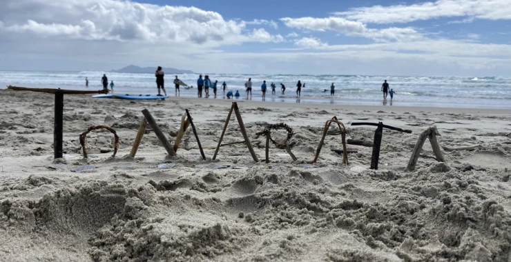 summerset-down-the-lane-hamilton-this-is-2nd-test-20th-nov-3801