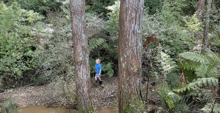 the-palms-lifestyle-village-test-2nd-nov-2023-3793