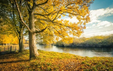 ultimate-care-rosedale-two-bedroom-villa-3709